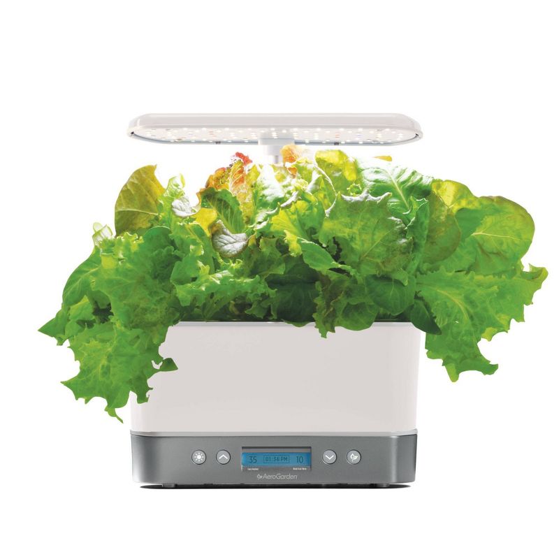 3-Pod Heirloom Salad Greens Seed Pod Kit - AeroGarden