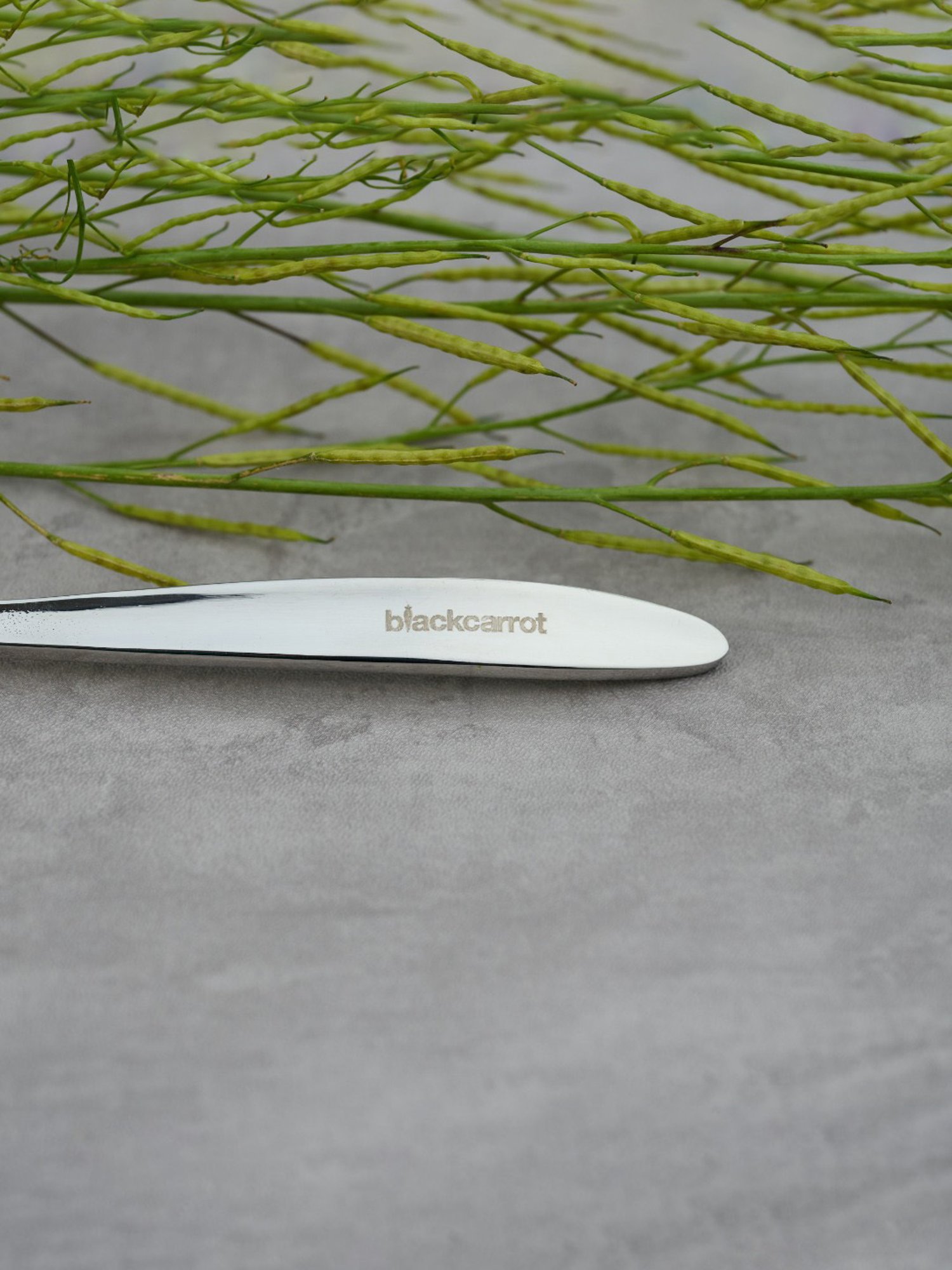 BlackCarrot 3 Pcs Stainless Steel Cutlery Set