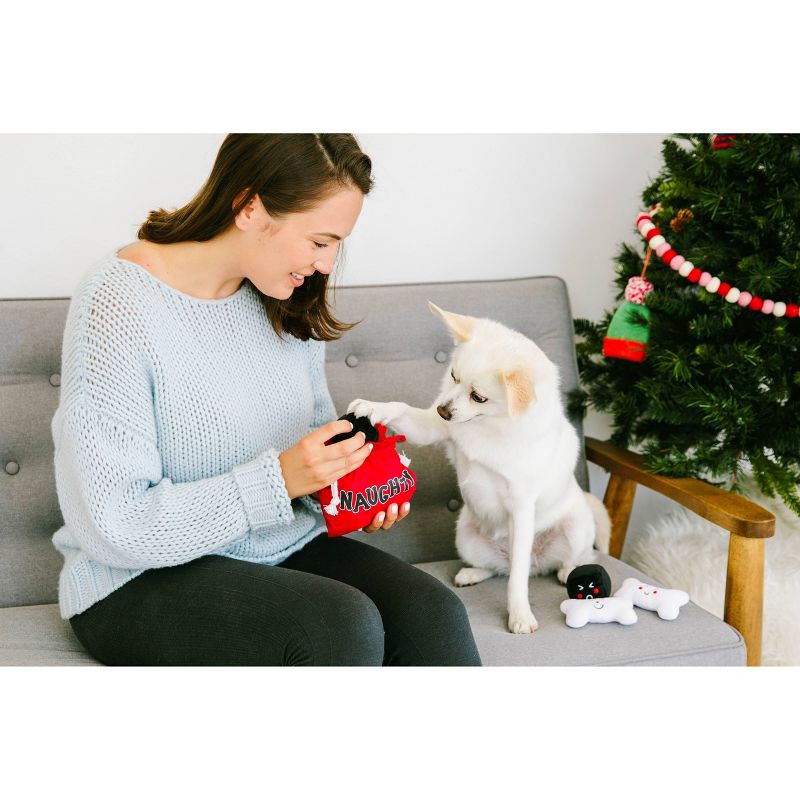 Pearhead Feliz Naughty and Nice Reversible Bag and Dog Toy Set