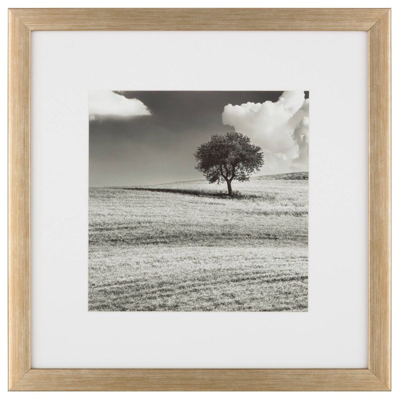 (Set of 9) 12" x 12" Gallery Grid Kit Gold - Instapoints