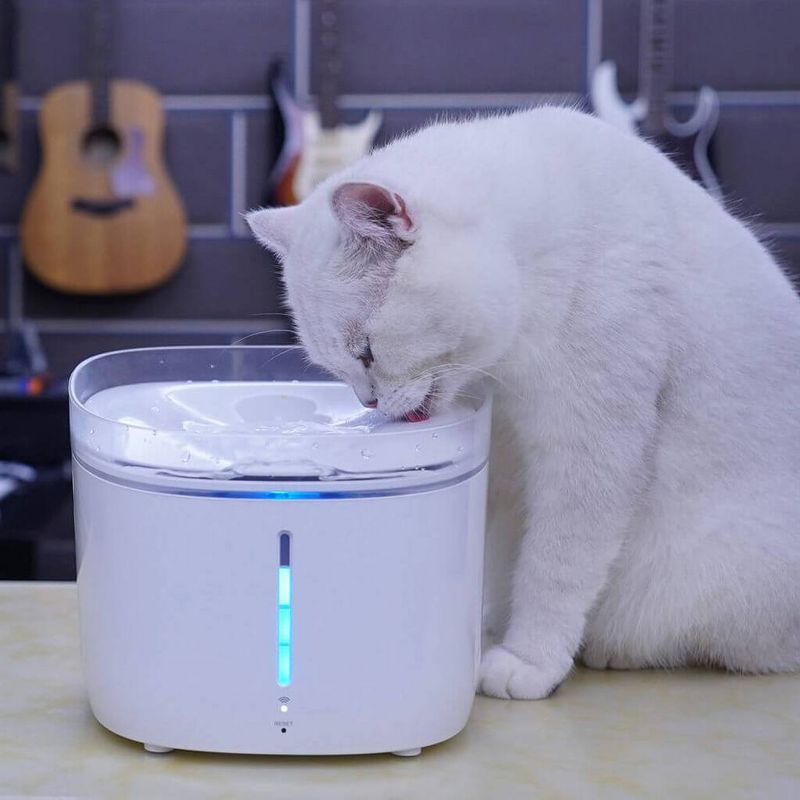 Pet Genius Smart Pet Fountain