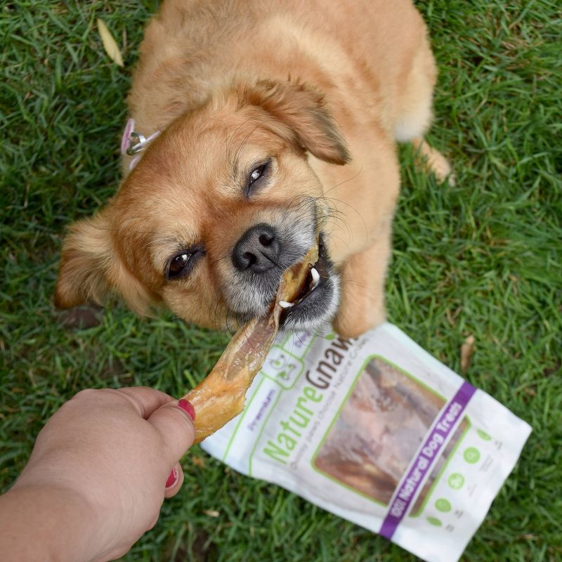 Nature Gnaws Beef Tendons Jerky Dog Treats - 5ct