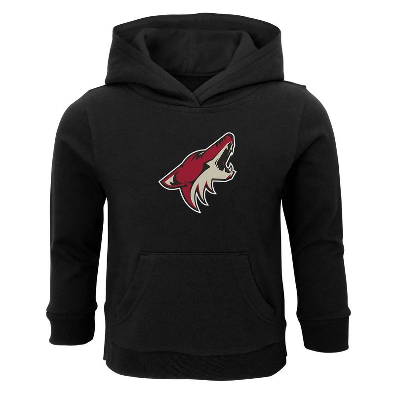 NHL Arizona Coyotes Toddler Boys' Poly Core Hoodie - 12M