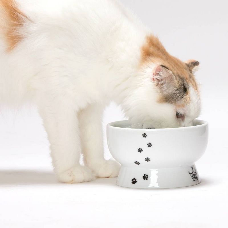 Necoichi Raised Cat Water Bowl