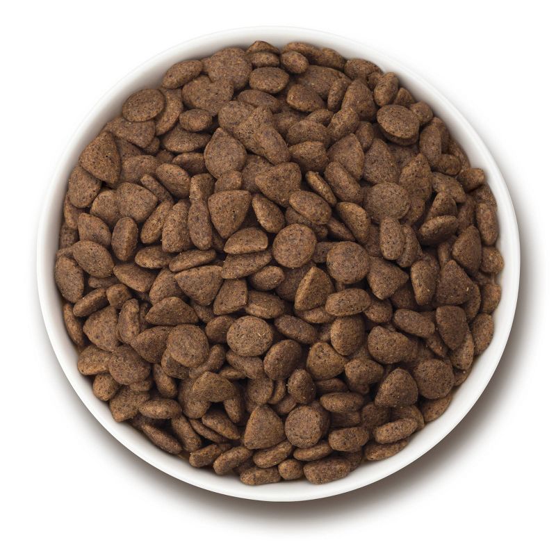 Purina Beyond Simply Probiotics White Meat Chicken & Whole Barley Recipe Dry Dog Food - 3.7lbs