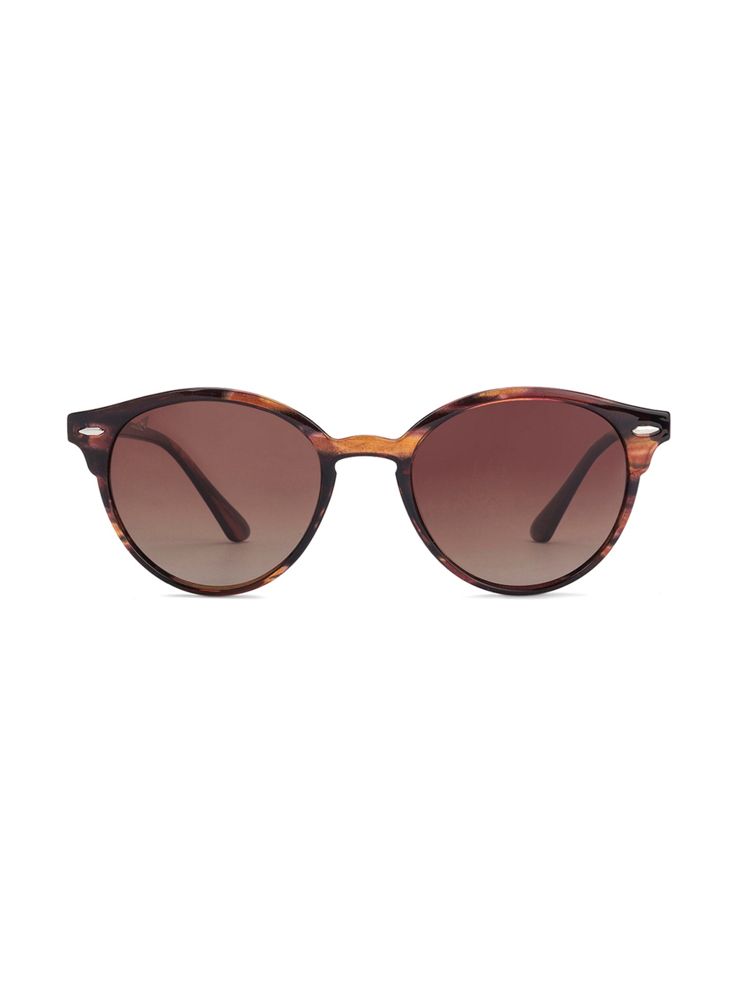 Vincent Chase Brown Round Sunglasses