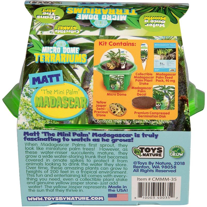 Toys By Nature Character Micro Domes - Matt the Madagascar Mini Palm