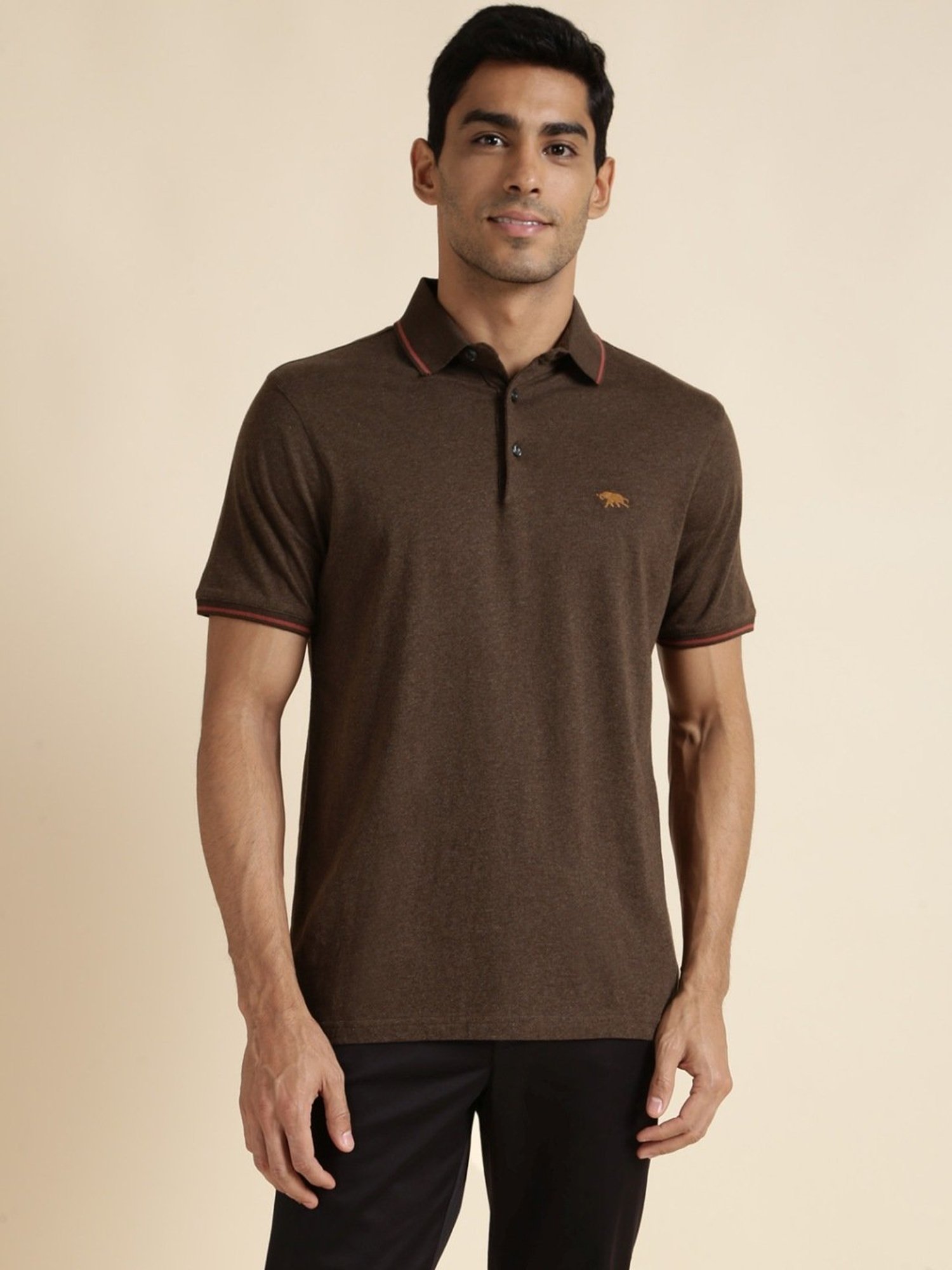 Andamen Brown Regular Fit Polo T-Shirt
