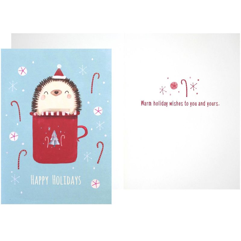 Green Inspired Hedgehog Boxed Cards 16ct