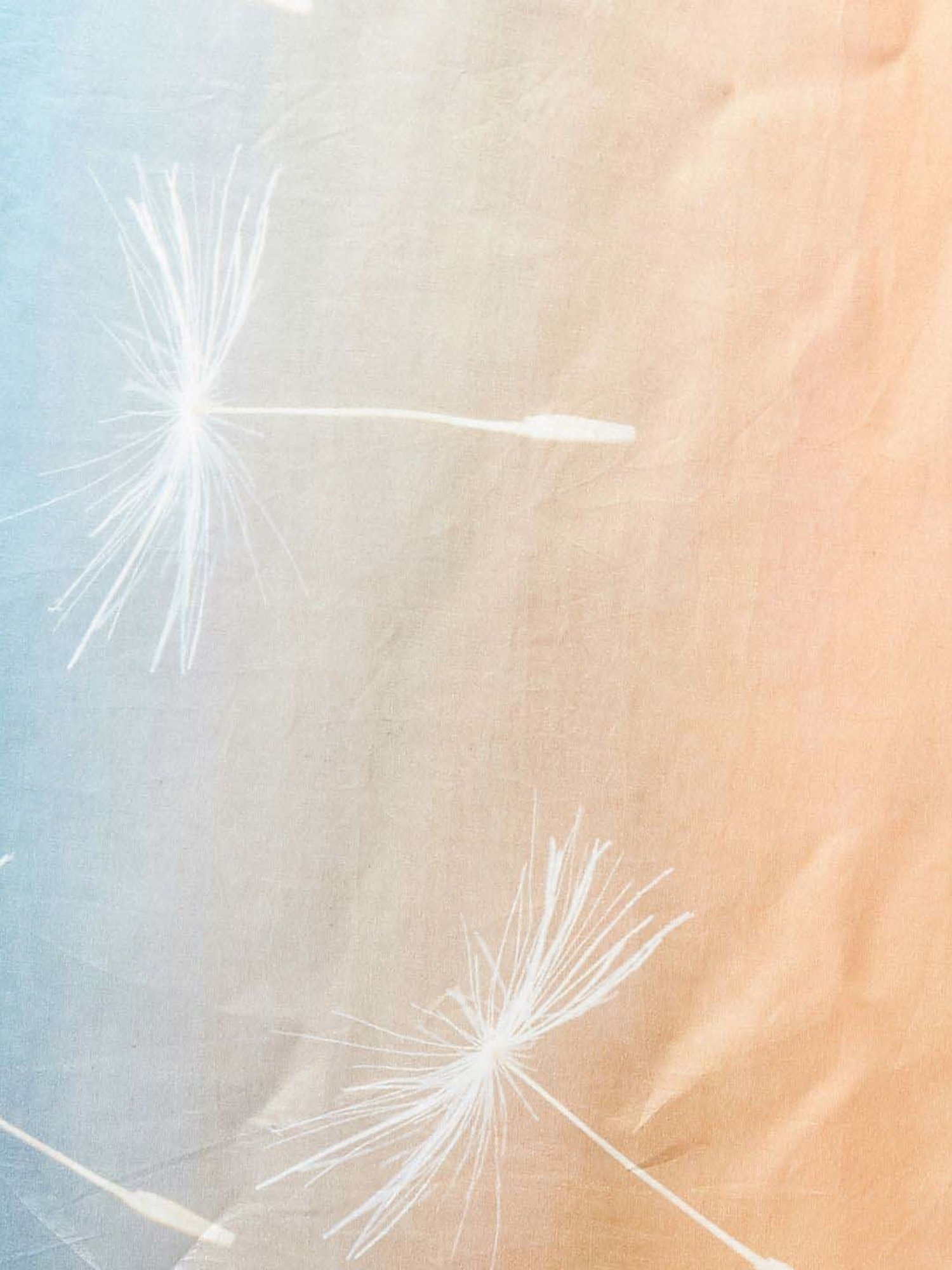 Unnati Silks Red Silk Printed Saree With Unstitched Blouse