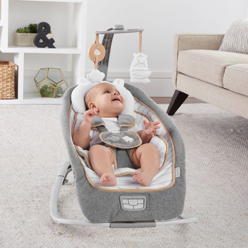 ​Fisher-Price Baby Bouncer