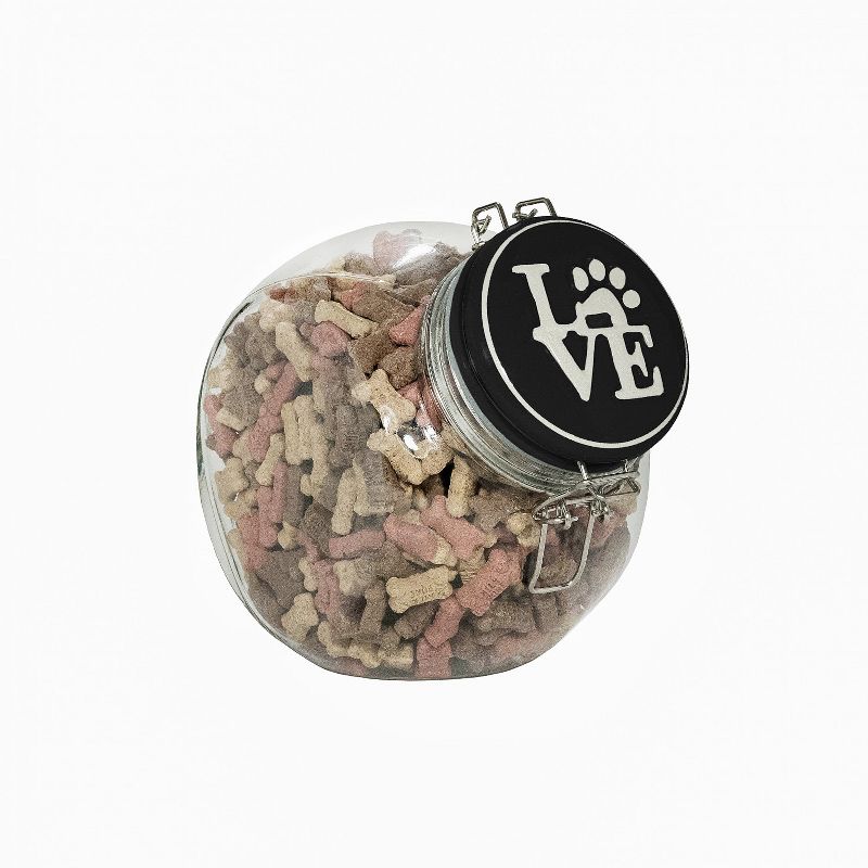 Amici Pet Love Space Saver Glass Food Canister, Turquoise, 72oz