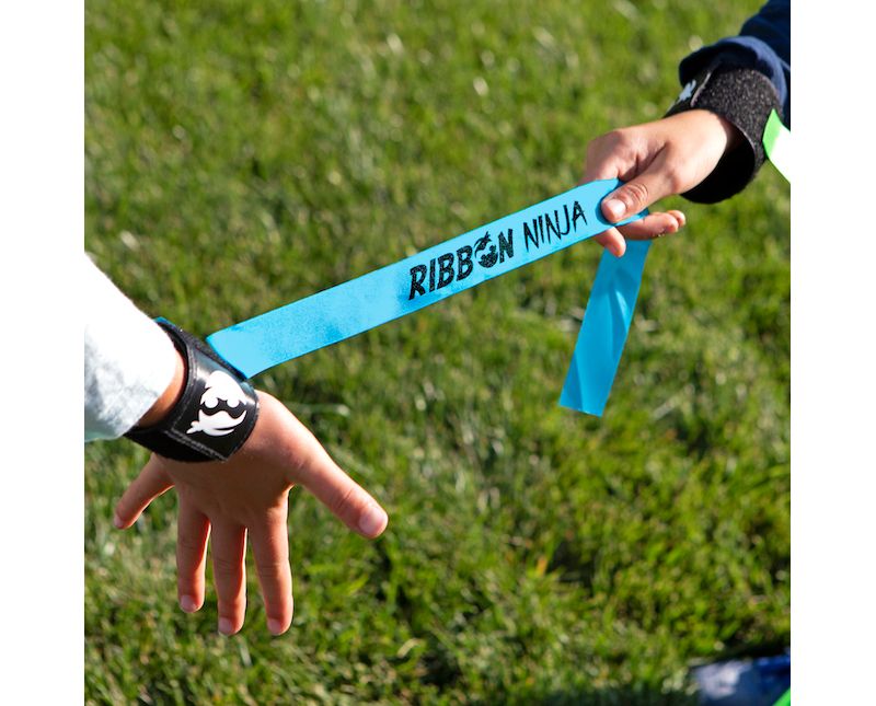  Fat Brain Toys Ribbon Ninja FA177-1