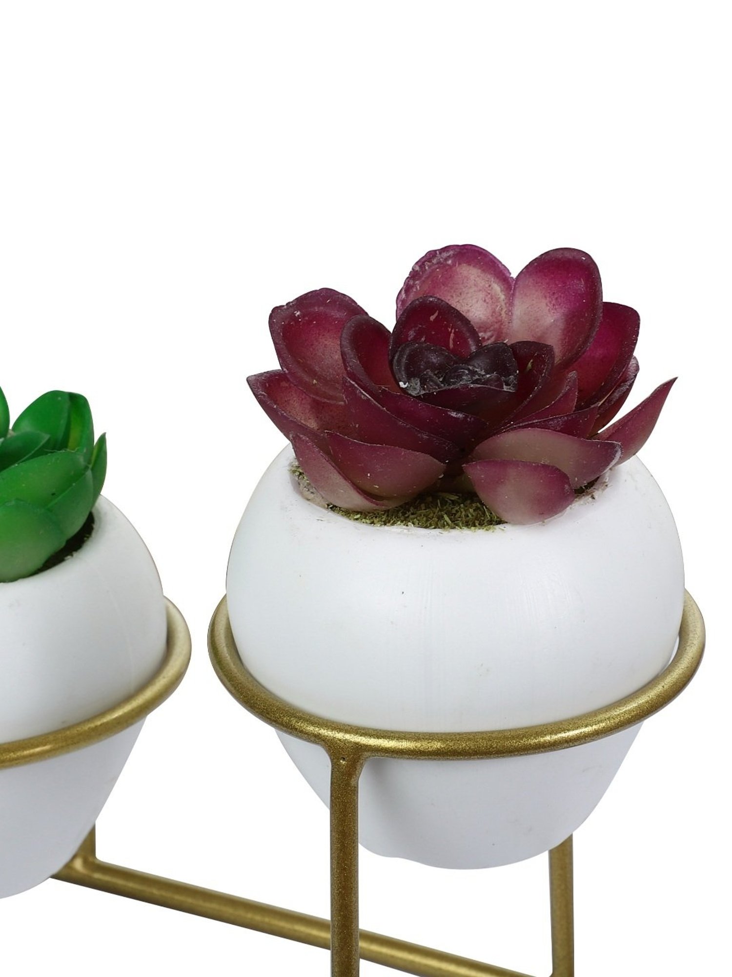 Foliyaj Multicolor Plastic Artificial Cactus Plants with Metal Holder - Set of 2