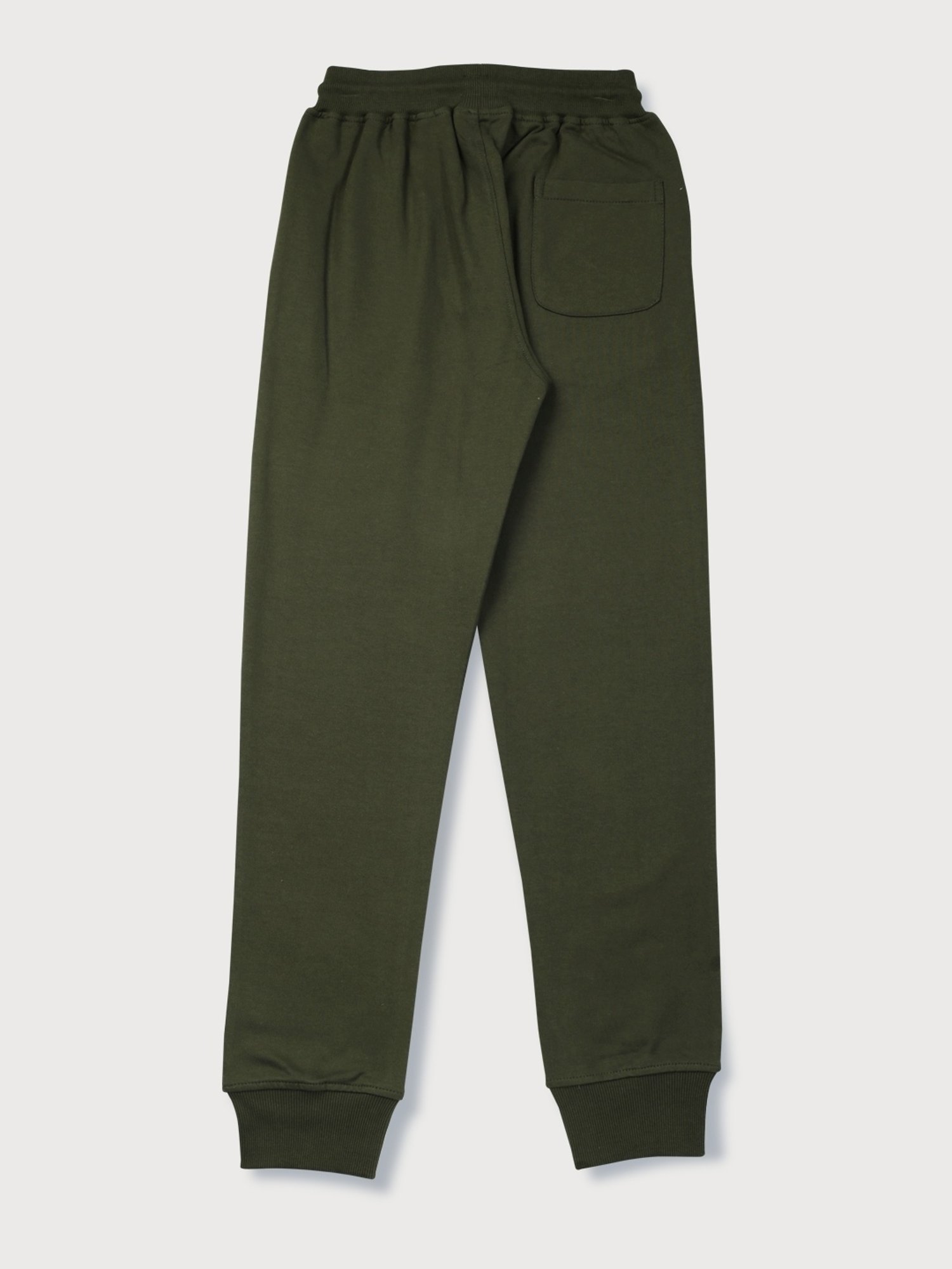 Palm Tree Kids Green Regular Fit Trackpants