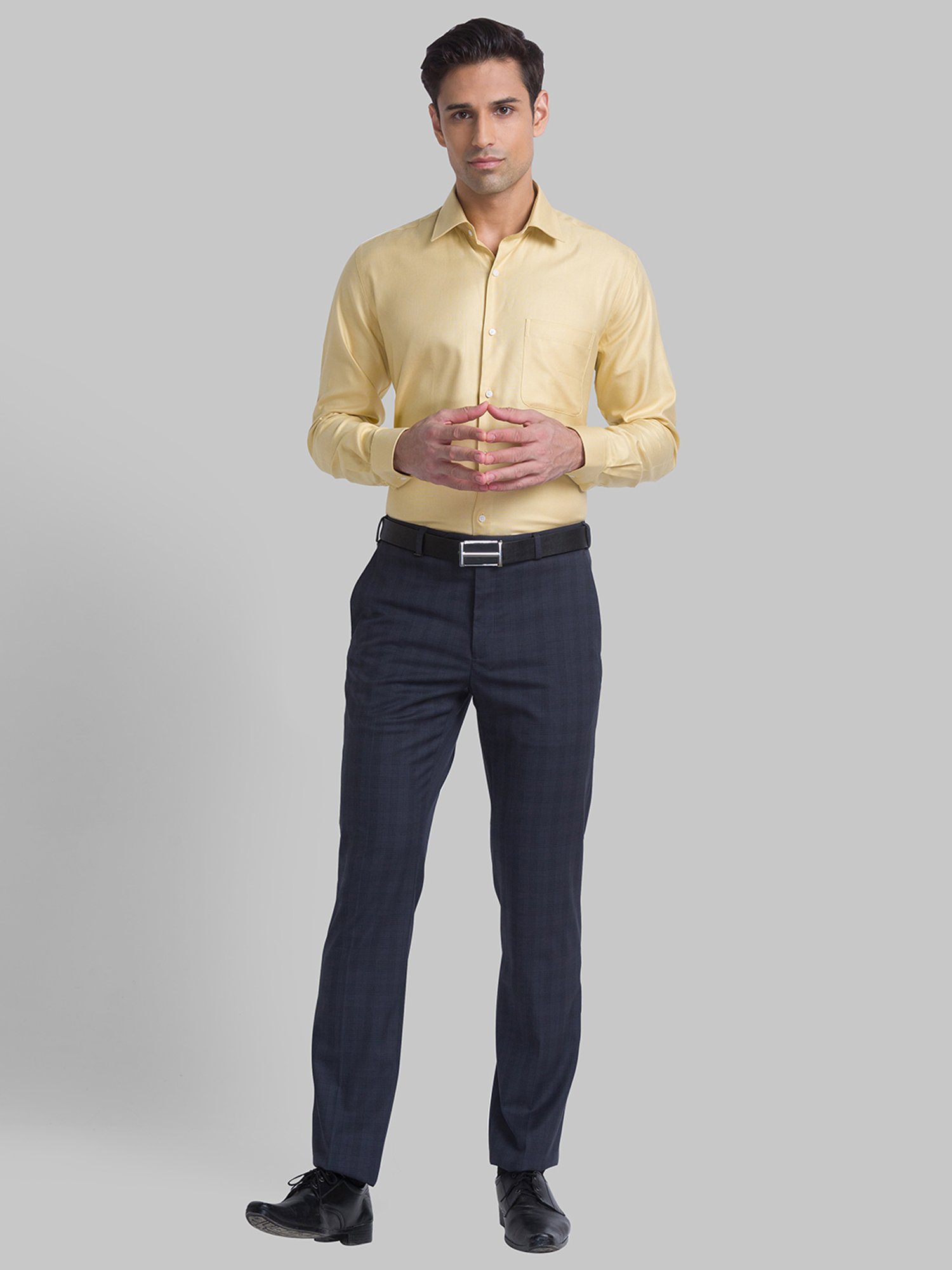 Raymond Grey Regular Fit Checks Trousers