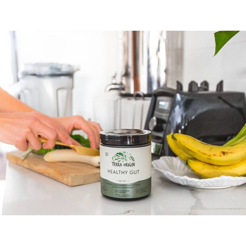Terra Origin Healthy Gut Powder Mint - 7.83oz