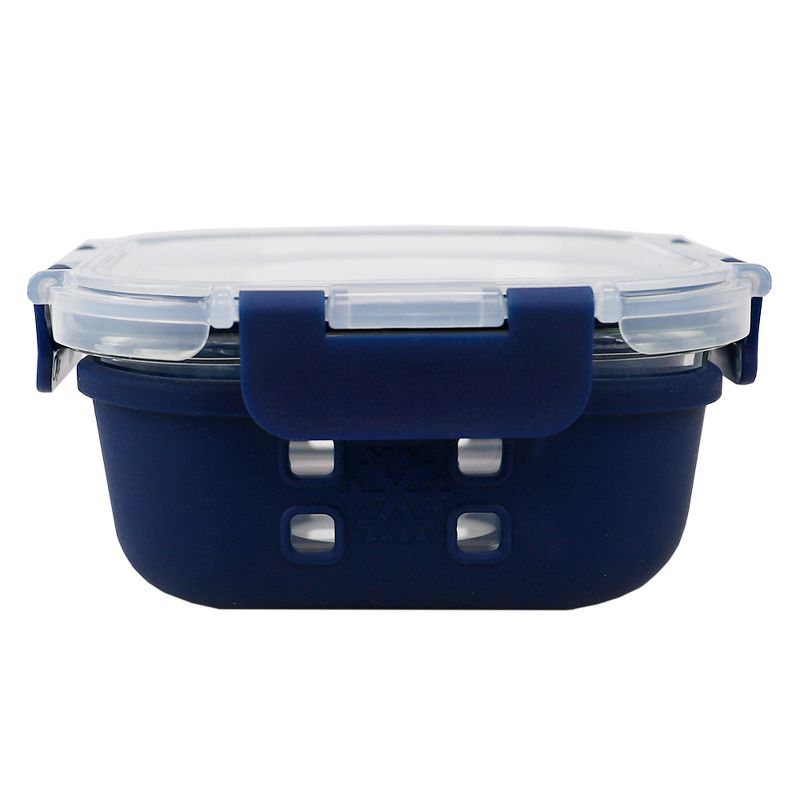 Michael Graves Design Square 17 Ounce High Borosilicate Glass Food Storage Container with Plastic Lid, Indigo
