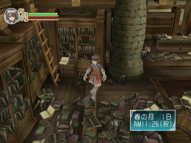 Rune Factory: Frontier Wii Game