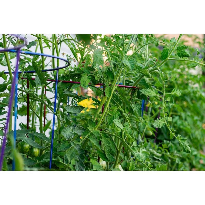 60" 5pk Gemz Heavy Duty Plant Support Ruby Red - Glamos