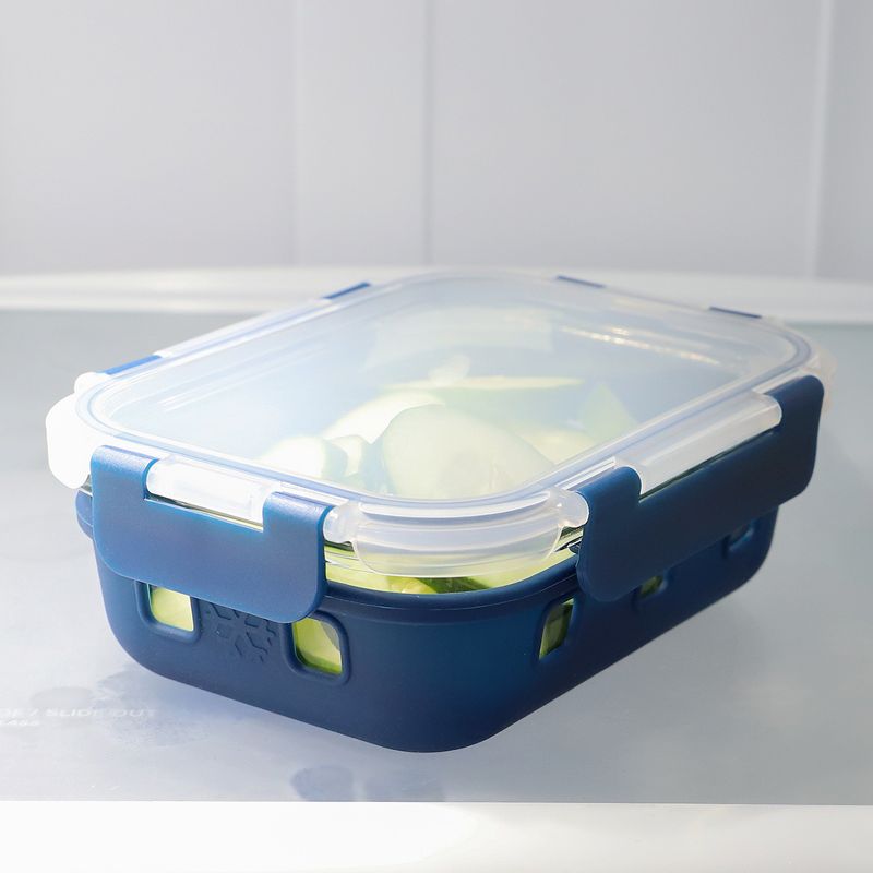Michael Graves Design Rectangle Medium 21 Ounce High Borosilicate Glass Food Storage Container with Plastic Lid, Indigo