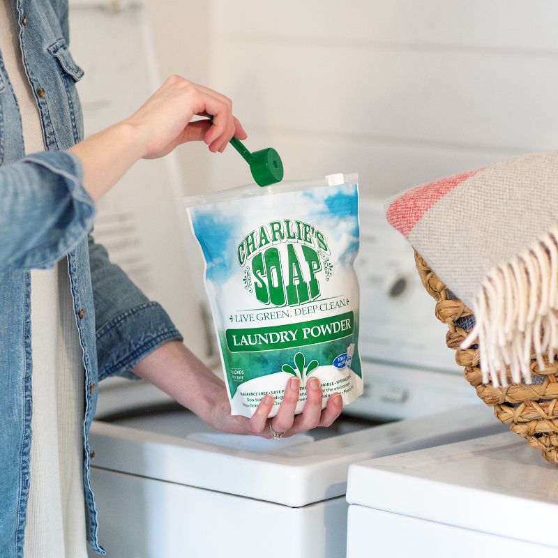 Charlie's Soap Powder Laundry Detergent - 42.24oz