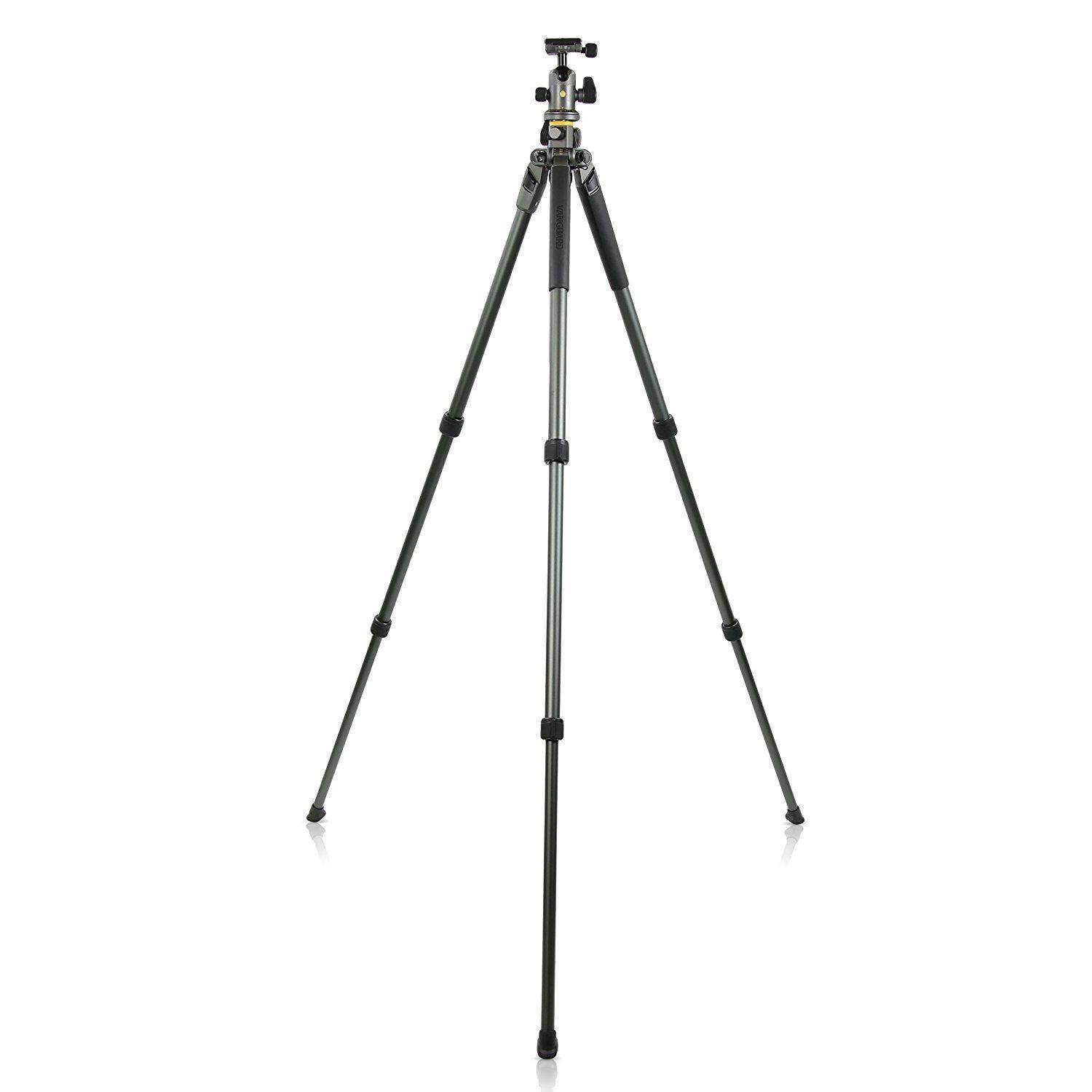 Vanguard Alta Pro 2+ 263AB 100 Aluminum Tripod with Alta BH100