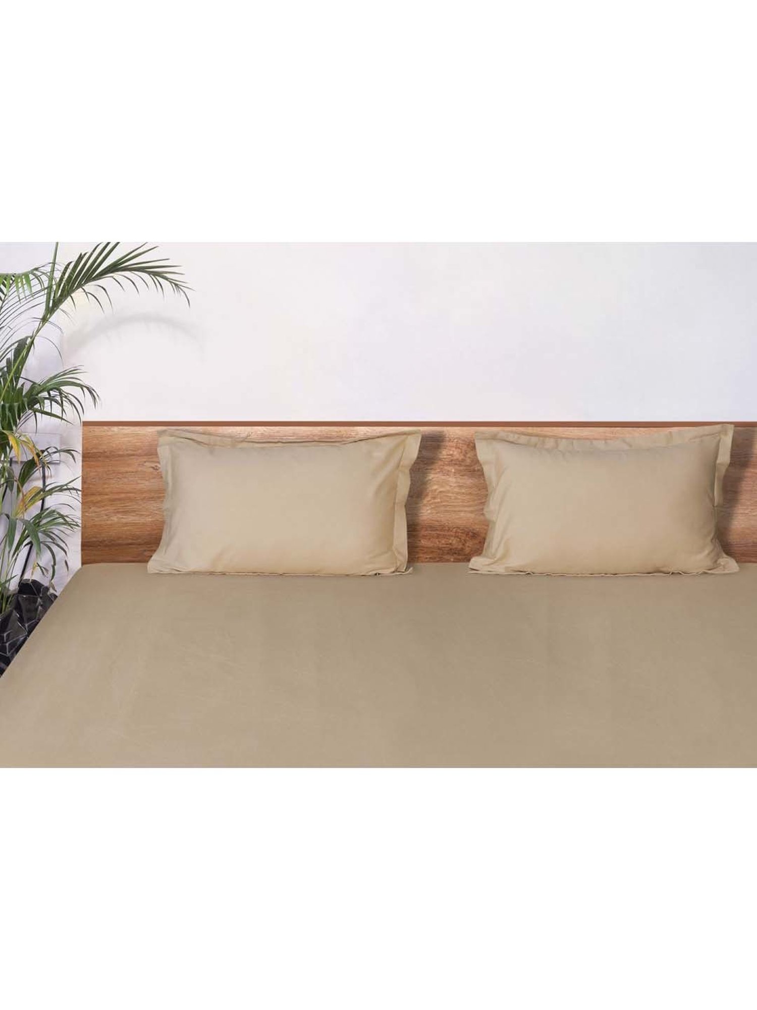 Mark Home Classic Beige Cotton 210 TC King Bedsheet with 2 Pillow Covers