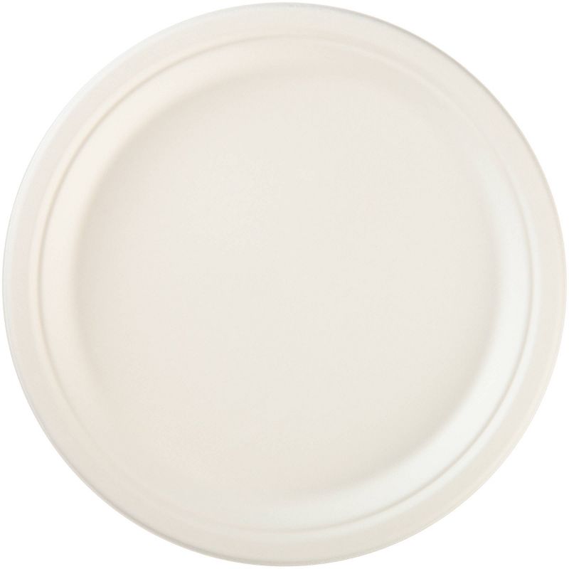 Hefty EcoSave Molded Fiber Paper 10 1/8" Plates - 16ct