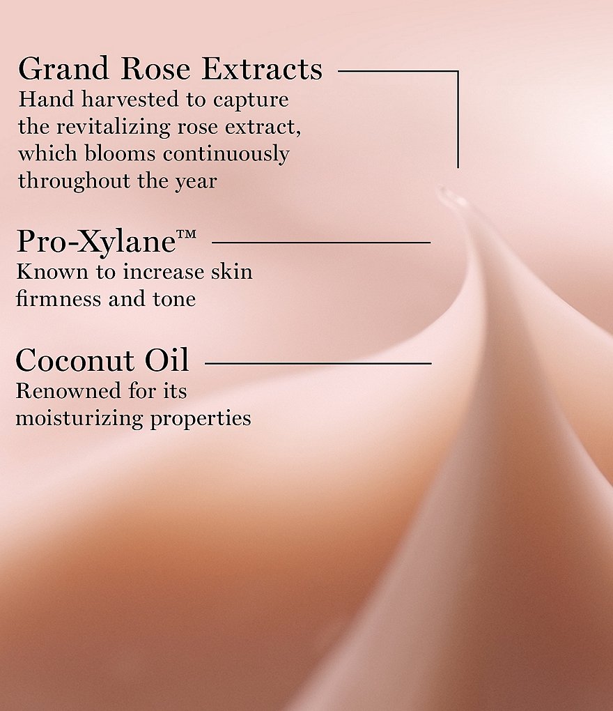 Lancome The Absolue Rich Cream Fill Duo