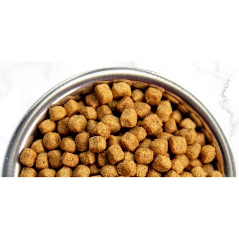 Blue Buffalo True Solutions Best Life Wet Dog Food - 12.5oz