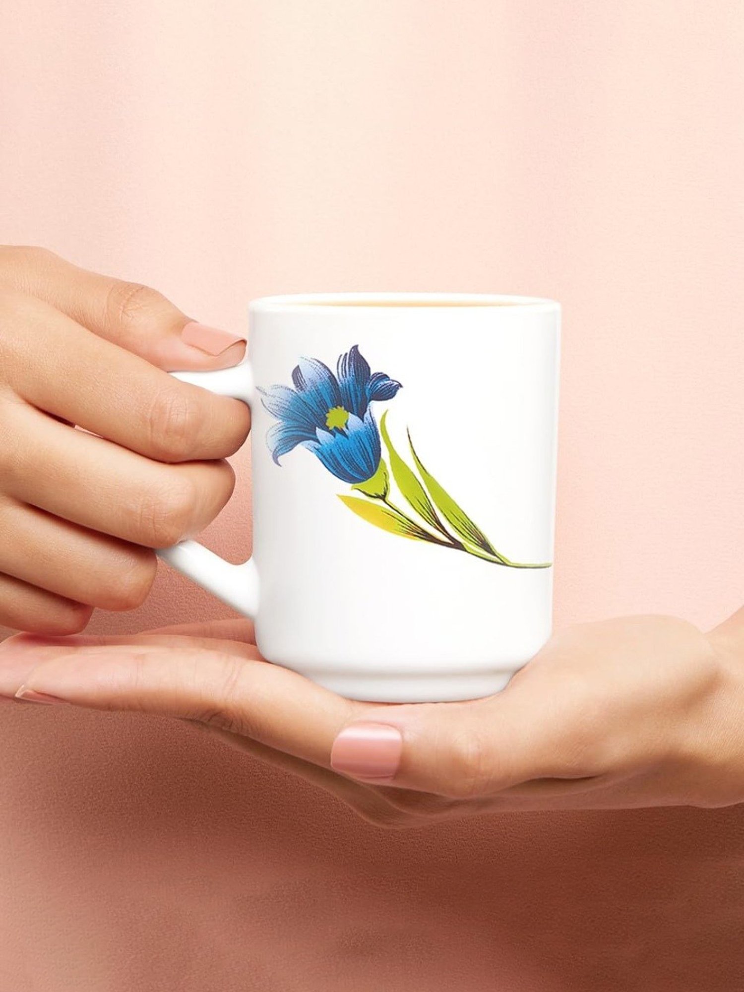 Larah by Borosil Multicolor Ceramic Tea & Coffee Mug - Set fo 6 240ml