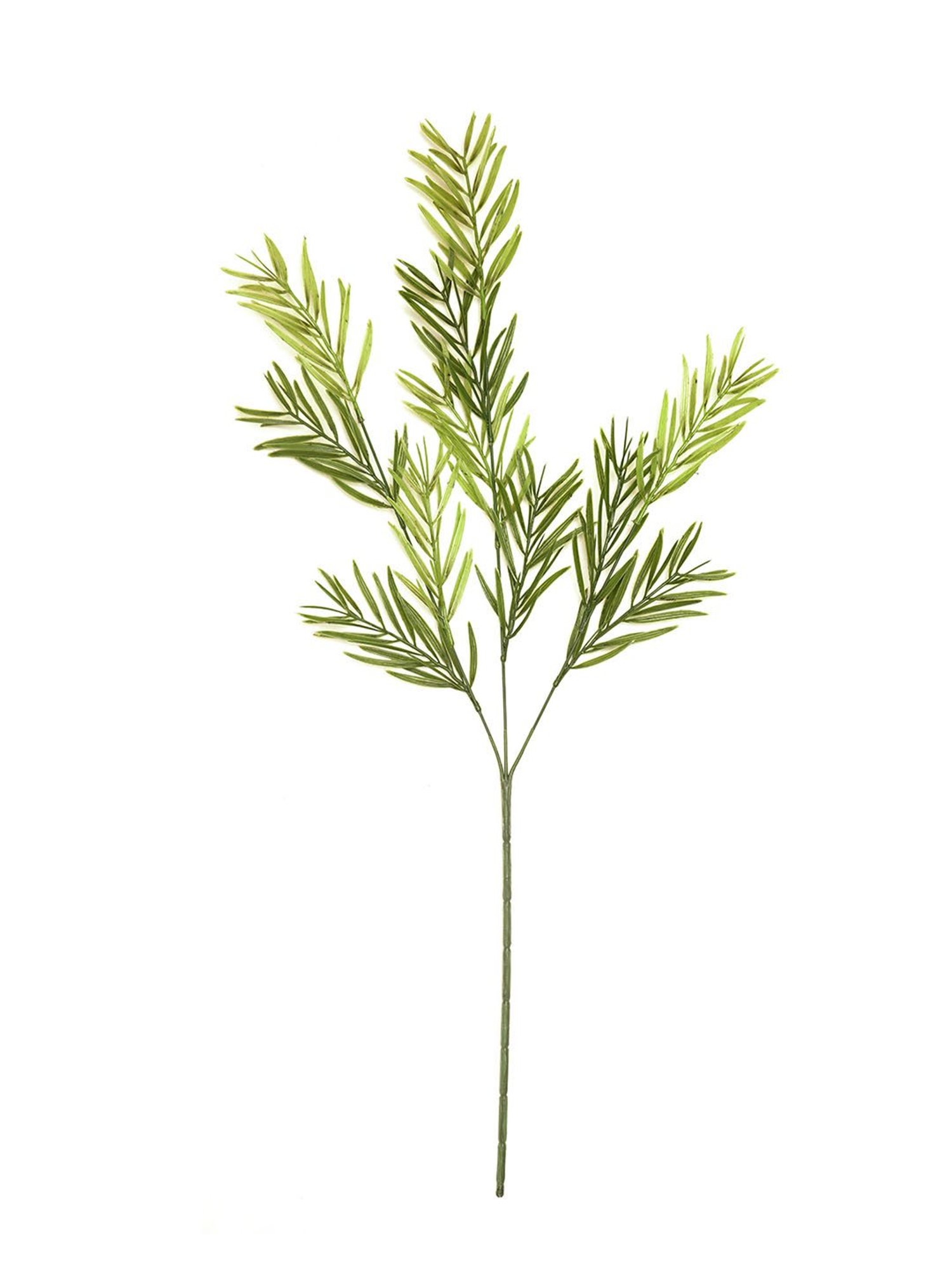 Pure Home and Living Green Polyester Green Stems