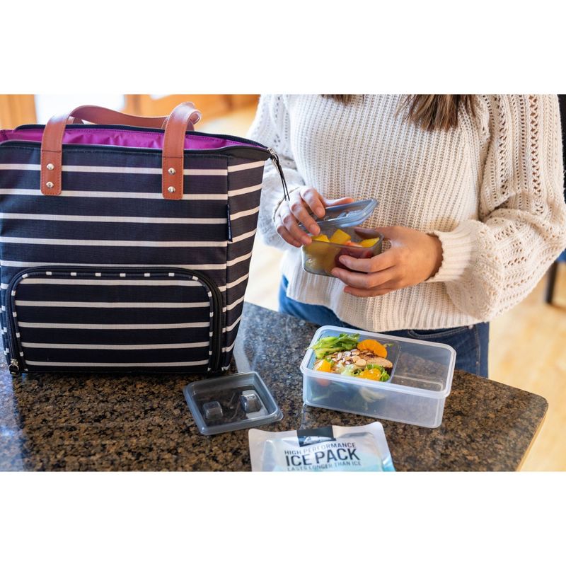 Arctic Zone Abigail Lunch Tote Set - Stripes