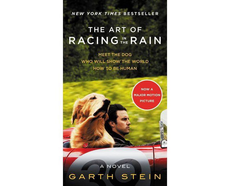 Art of Racing in the Rain -  MTI by Garth Stein (Paperback)
