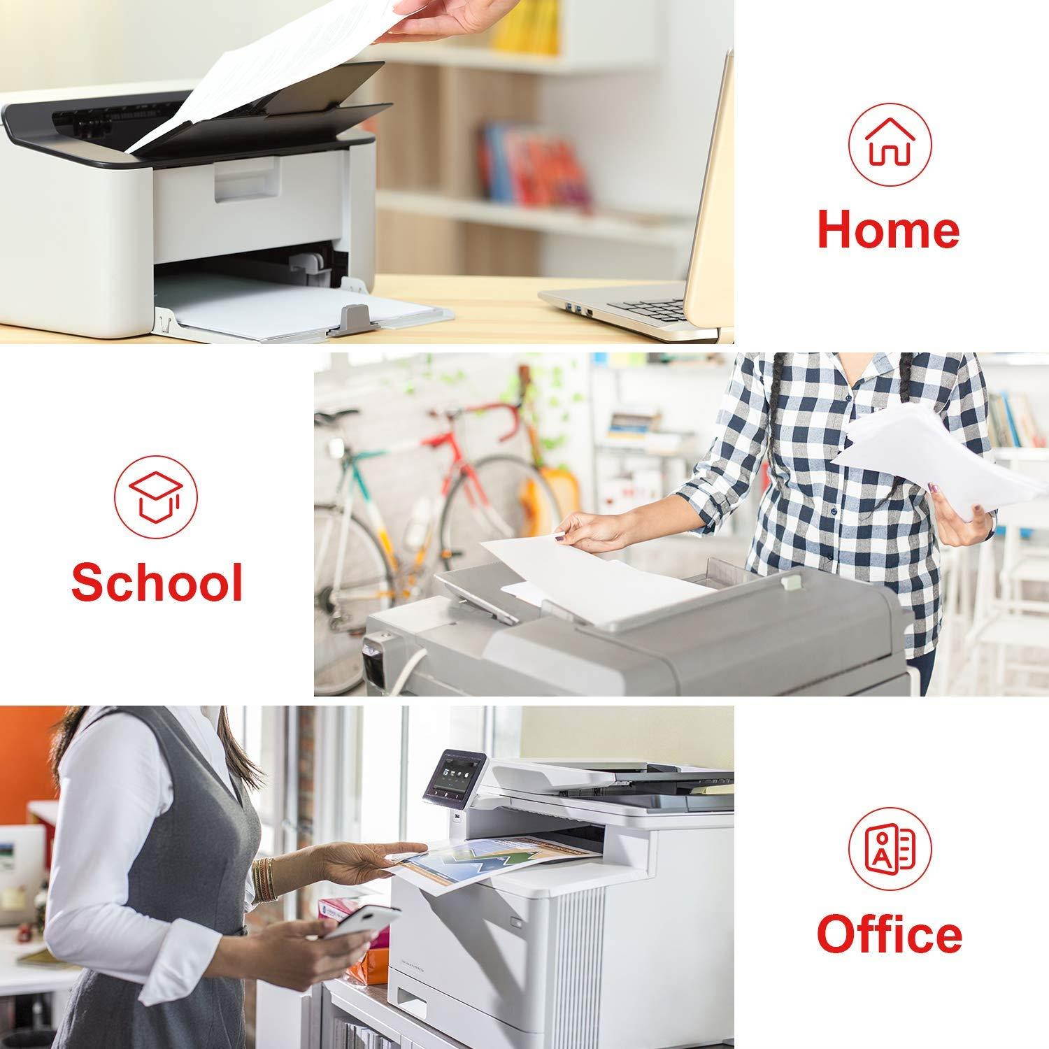 Compatible with Ricoh MPC3003 Drum Assembly for Ricoh MPC3003/C3503/C4503/MPC5503/MPC6003 Savin Digital Copier (Four Colors, 145,000 Pages),Black