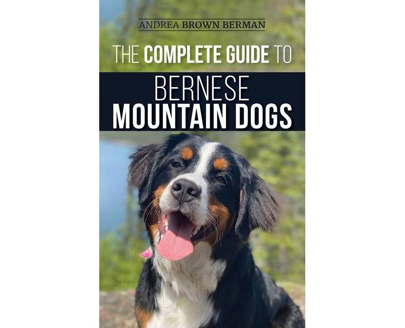 The Complete Guide to Bernese Mountain Dogs - by  Andrea Berman (Hardcover)