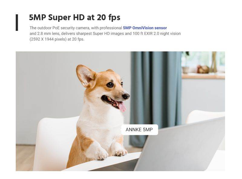 ANNKE 8CH 5MP PoE Turret Security Camera System with 2TB