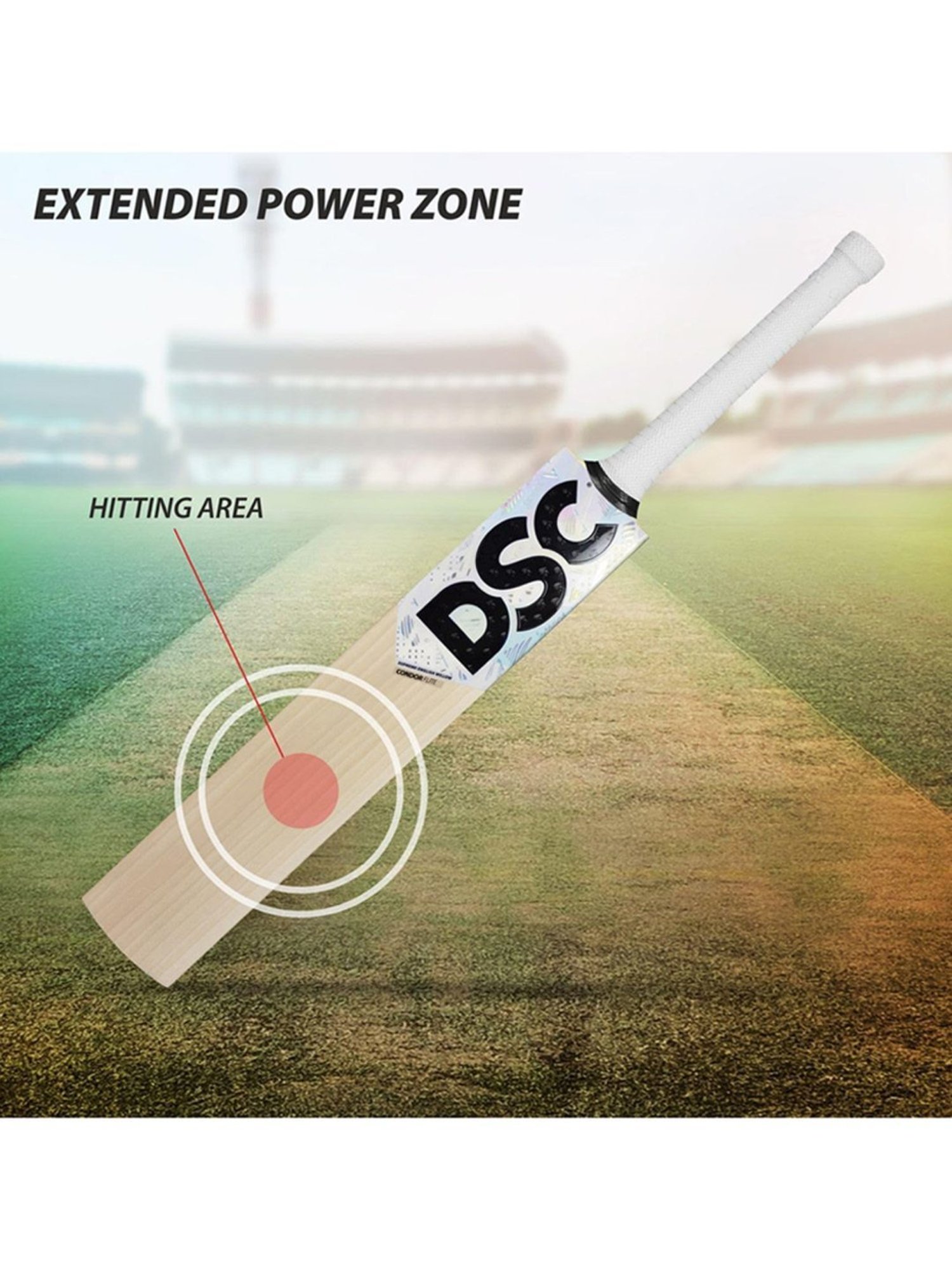 DSC Condor Flite Grade 1 English Willow Cricket Bat Size - 5