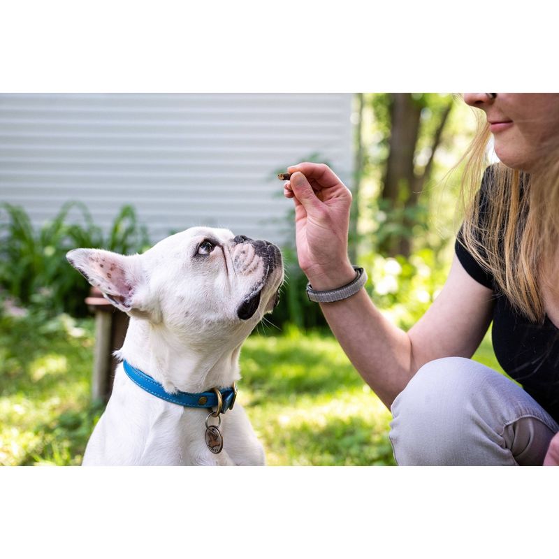 Finley's All Natural Salmon Soft Training Bite Dog Treats - 16oz