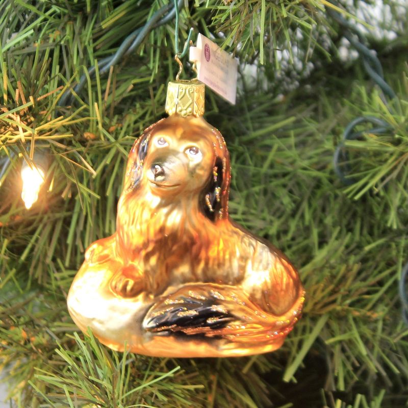 Inge Glas 3.5" Dashsi Ornament Long-Haired Dachshund  -  Tree Ornaments