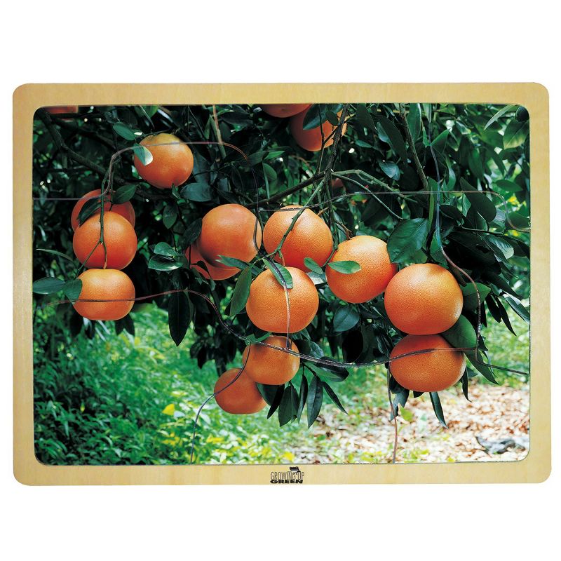 MOJO Fresh Fruits Puzzles - Set of 6 Puzzles - Promote Healthy Living and Healthy Eating