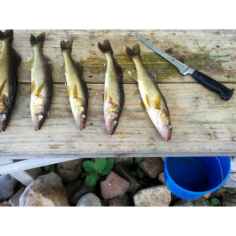 ZWILLING Four Star Fish Fillet Knife and Leather Sheath Set