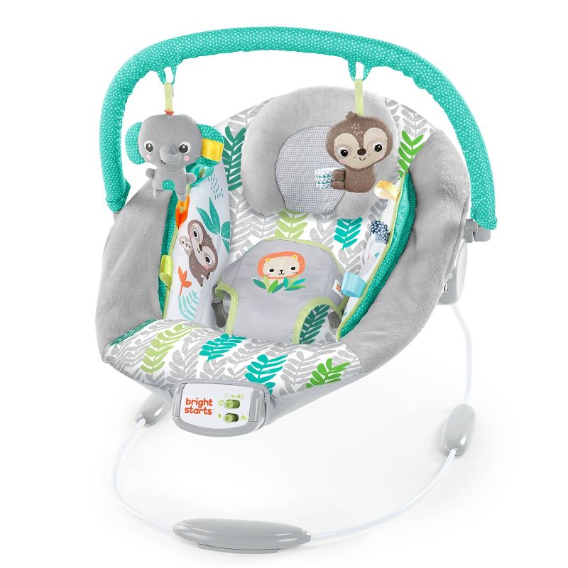 ​Fisher-Price Baby Bouncer