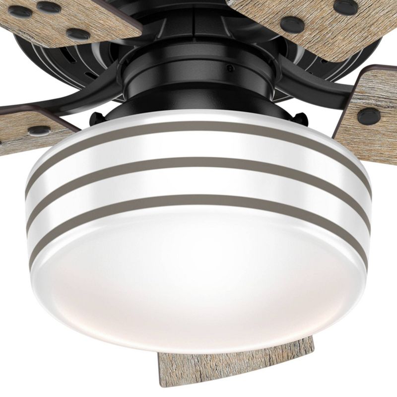 44" Cedar Key Damp Rated Ceiling Fan with Remote Black (Includes LED Light Bulb) - Hunter Fan