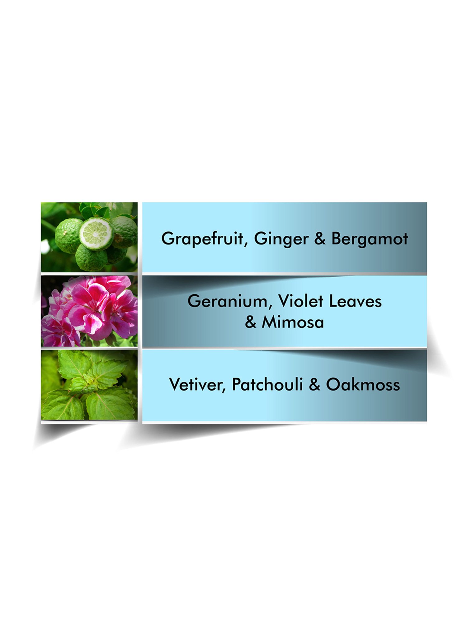 Emanuel Ungaro Fresh for Him Eau de Toilette - 100 ml