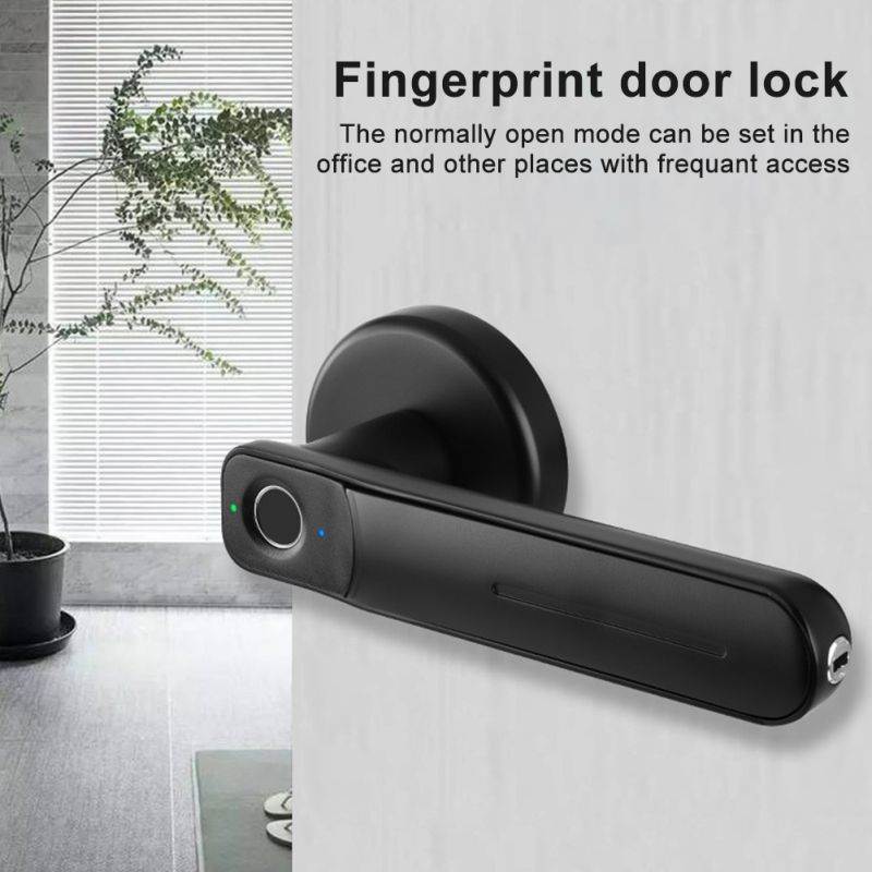 Smart Fingerprint Door Lock Biometric Apartment Electric Zinc Alloy With Keys (Grey)