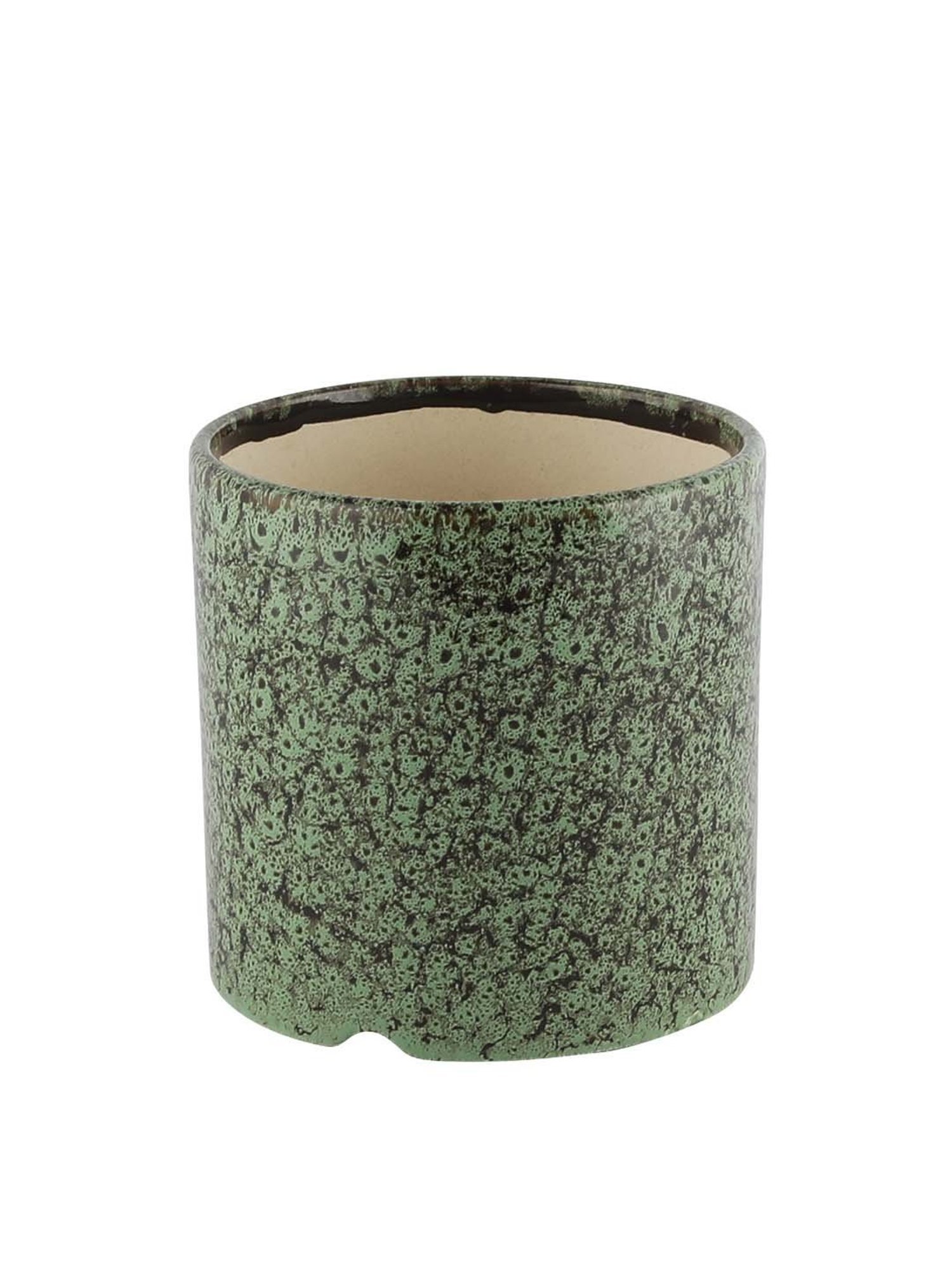 VarEesha Foliage Green Ceramic Planter Pot - Set of 1