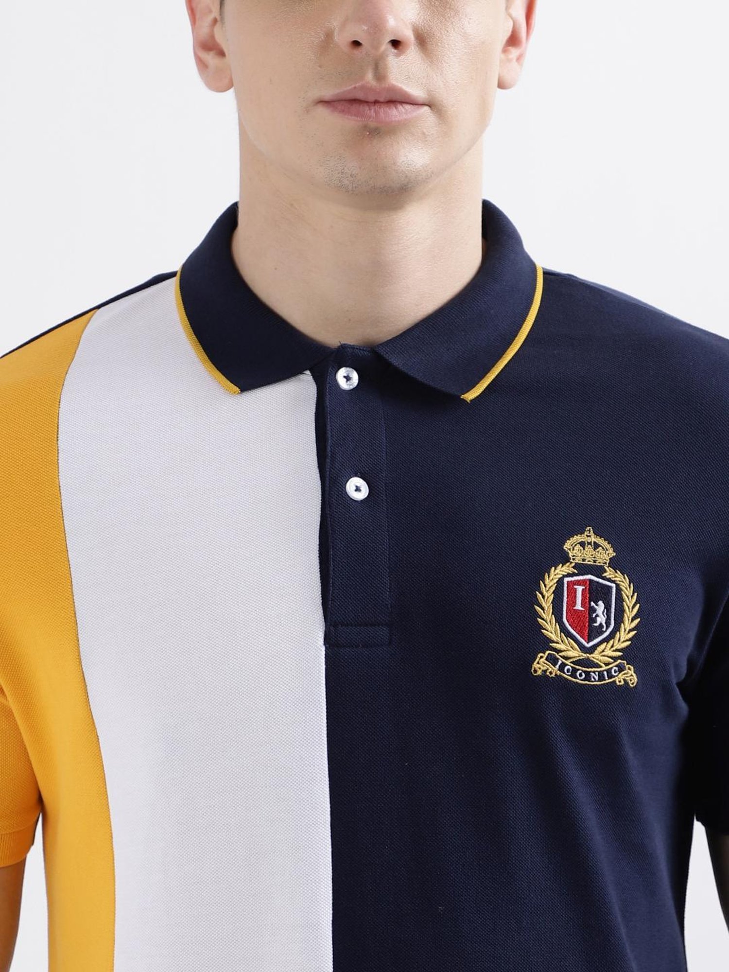 Iconic Men Colourblocked Regular Fit Cotton T-shirt