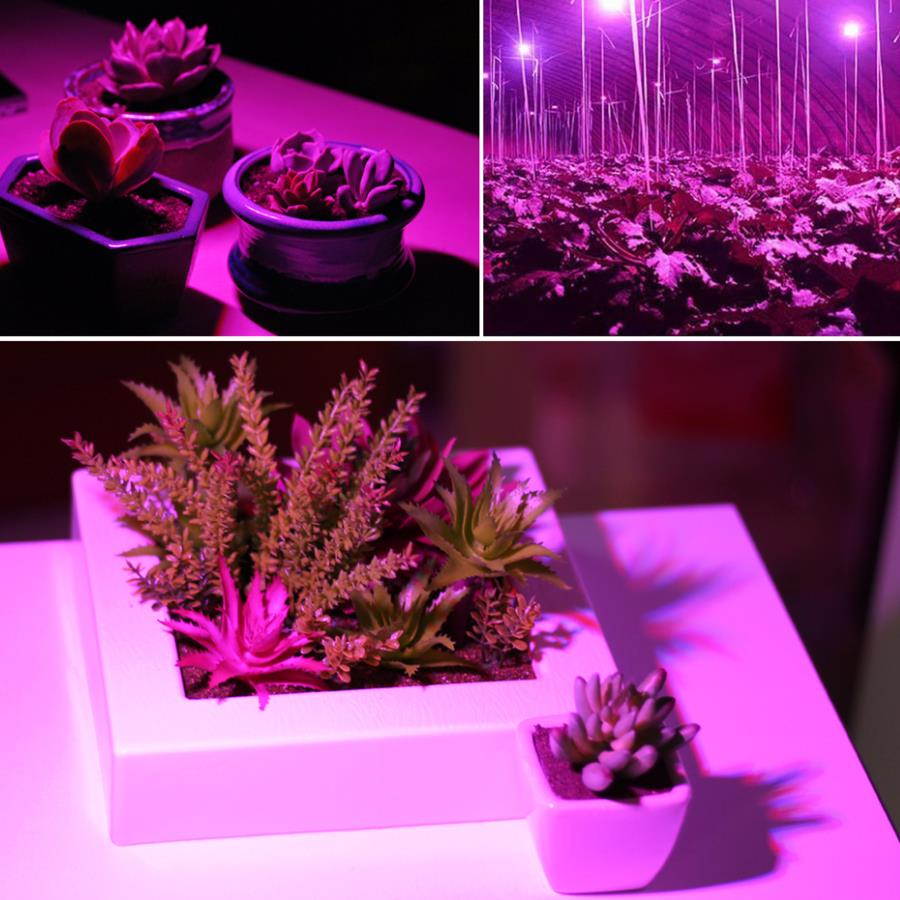 E27 85V-265V 80W 120 LEDs Plant Fill Grow Light Full Spectrum Band Red 78 & Blue 24 & Warm 6 & Infrared 6 & UV 6 for Grow Tent / Bonsai